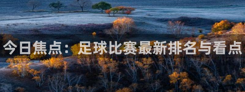 今日焦点：足球比赛最新排名与看点