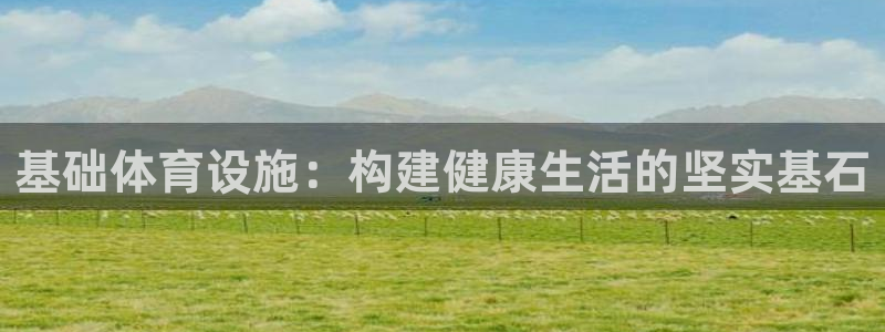 基础体育设施：构建健康生活的坚实基石