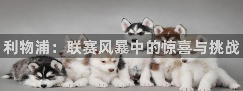 利物浦：联赛风暴中的惊喜与挑战