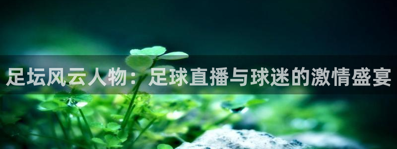 足坛风云人物：足球直播与球迷的激情盛宴