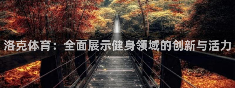 洛克体育：全面展示健身领域的创新与活力