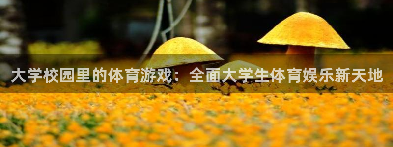 大学校园里的体育游戏：全面大学生体育娱乐新天地