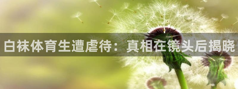 白袜体育生遭虐待：真相在镜头后揭晓