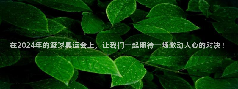nba球迷直播