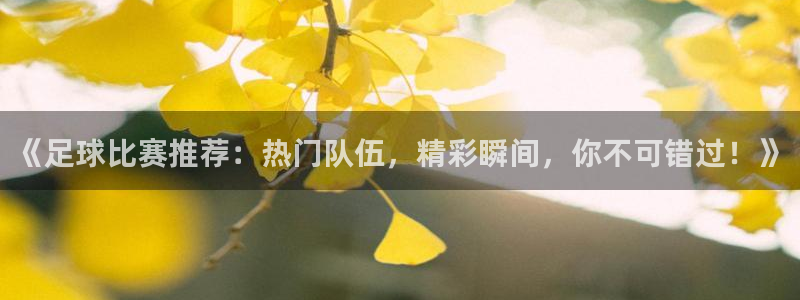 nba视频直播球迷网：《足球比赛推荐：热门队伍，精彩瞬间，你不可错过！》