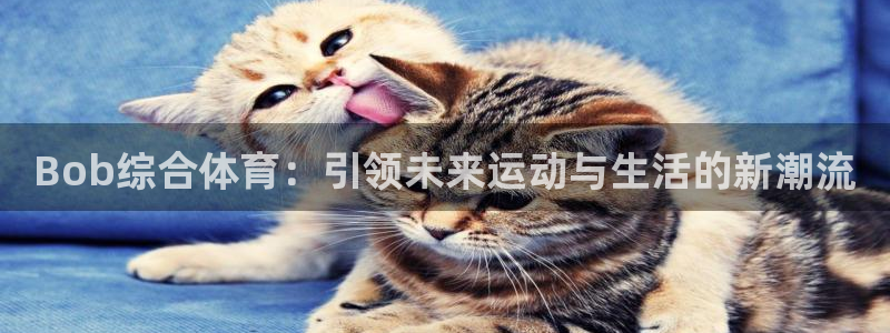 nba免费直播球迷网：Bob综合体育：引领未来运动与生活的新潮流