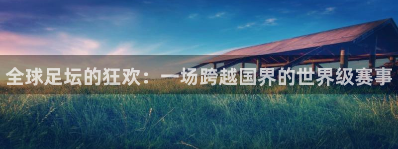 球迷网体育直播：全球足坛的狂欢：一场跨越国界的世界级赛事