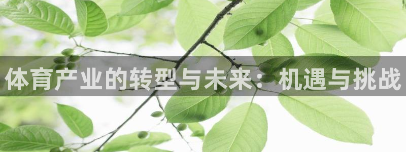 国足球迷