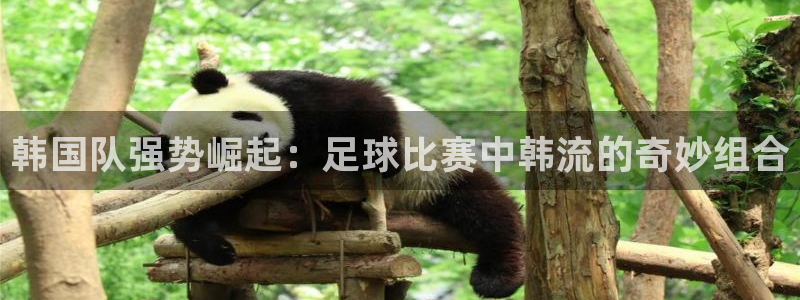 nba视频直播球迷网：韩国队强势崛起：足球比赛中韩流的奇妙组合