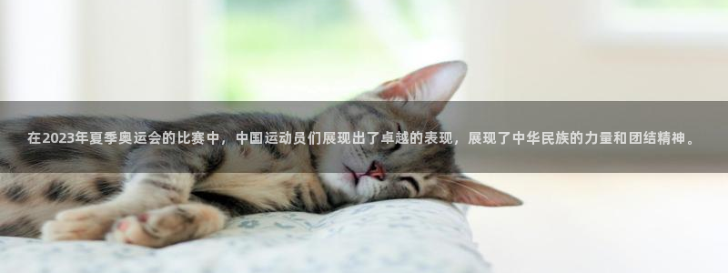 nba球迷直播：在2023年夏季奥运会的比赛中，中国运动员们展现出了卓越的表现，展现了中华民族的力量和团结精神。