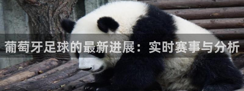cba球迷网直播吧：葡萄牙足球的最新进展：实时赛事与分析