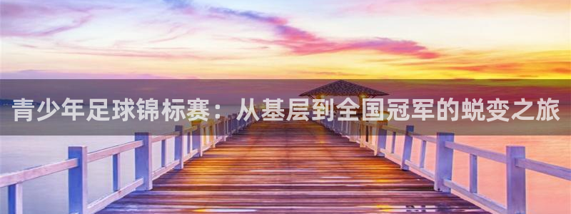 nba在线直播球迷：青少年足球锦标赛：从基层到全国冠军的蜕变之旅