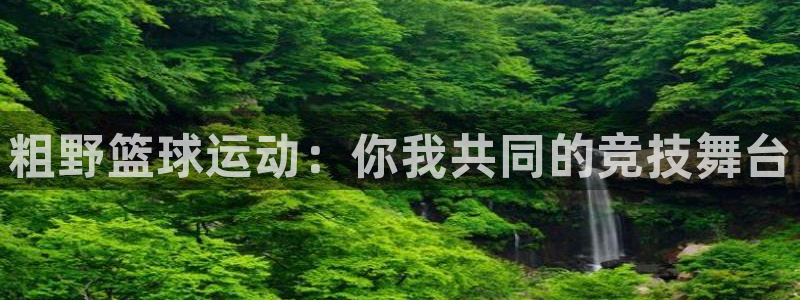 球迷体育下载