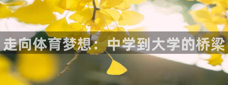 cba篮球直播球迷网：走向体育梦想：中学到大学的桥梁